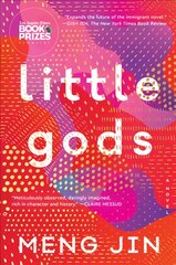 Little Gods цена и информация | Фантастика, фэнтези | pigu.lt