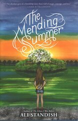 Mending Summer цена и информация | Книги для подростков и молодежи | pigu.lt