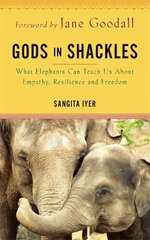 Gods in Shackles: What Elephants Can Teach Us About Empathy, Resilience and Freedom kaina ir informacija | Biografijos, autobiografijos, memuarai | pigu.lt