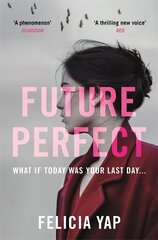 Future Perfect: The Most Exciting High-Concept Novel of the Year цена и информация | Фантастика, фэнтези | pigu.lt