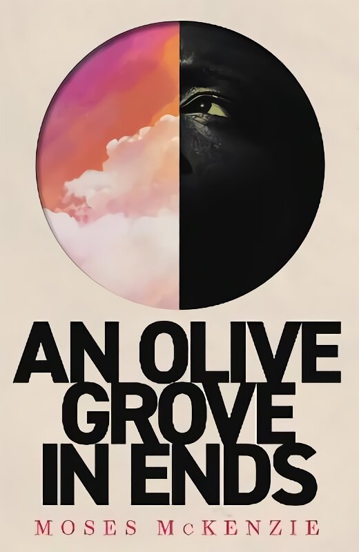 Olive Grove in Ends: The dazzling debut novel about love, faith and community, by an electrifying new voice цена и информация | Fantastinės, mistinės knygos | pigu.lt