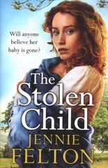 Stolen Child: The most heartwrenching and heartwarming saga you'll read this year цена и информация | Фантастика, фэнтези | pigu.lt