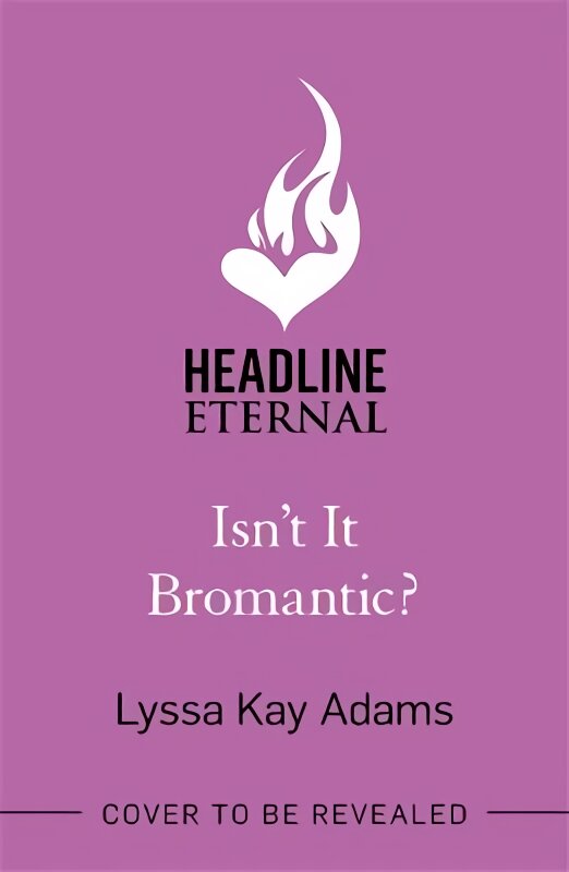 Isn't it Bromantic?: The sweetest romance you'll read this year! цена и информация | Fantastinės, mistinės knygos | pigu.lt