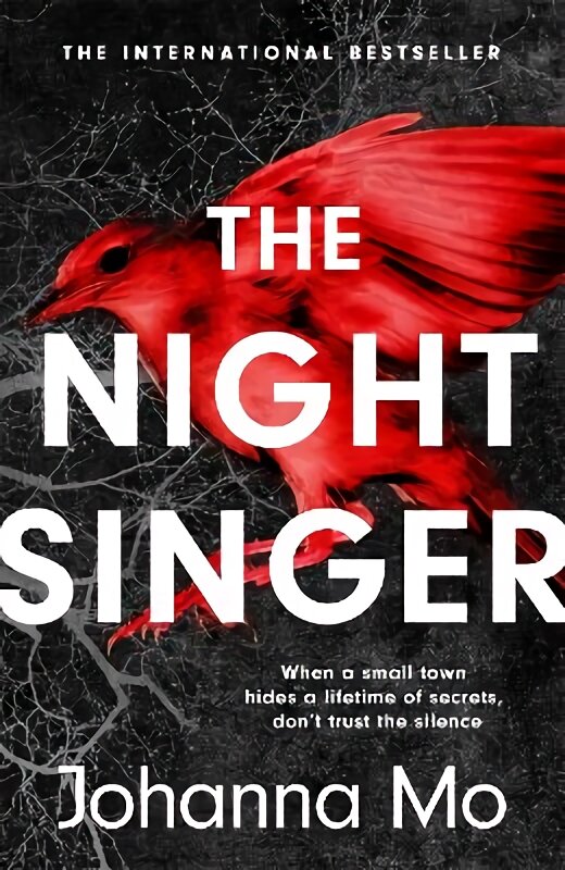 Night Singer kaina ir informacija | Fantastinės, mistinės knygos | pigu.lt