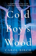 Cold Boy's Wood цена и информация | Фантастика, фэнтези | pigu.lt