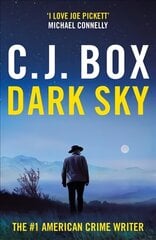 Dark Sky kaina ir informacija | Fantastinės, mistinės knygos | pigu.lt