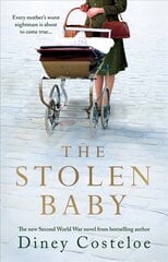 Stolen Baby цена и информация | Fantastinės, mistinės knygos | pigu.lt