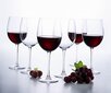 Luminarc Versailles taurės vynui, 6 vnt kaina ir informacija | Taurės, puodeliai, ąsočiai | pigu.lt