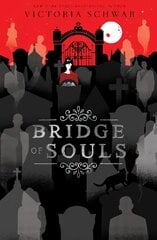 Bridge of Souls цена и информация | Книги для подростков  | pigu.lt