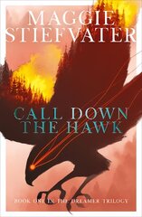 Call Down the Hawk: The Dreamer Trilogy #1 цена и информация | Книги для подростков  | pigu.lt