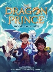 Sky (The Dragon Prince Novel #2) цена и информация | Книги для подростков и молодежи | pigu.lt