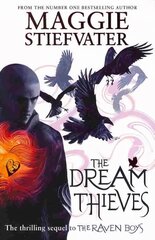 Dream Thieves цена и информация | Книги для подростков  | pigu.lt