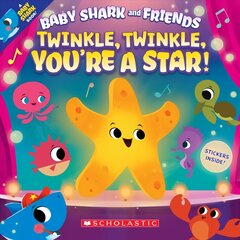 Twinkle Twinkle, You're a Star цена и информация | Книги для малышей | pigu.lt