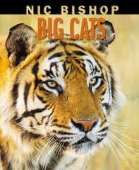 Nic Bishop Big Cats цена и информация | Энциклопедии, справочники | pigu.lt