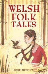 Welsh Folk Tales kaina ir informacija | Socialinių mokslų knygos | pigu.lt