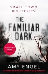 Familiar Dark: The must-read, utterly gripping thriller you won't be able to put down цена и информация | Фантастика, фэнтези | pigu.lt