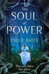 Soul of Power цена и информация | Книги для подростков и молодежи | pigu.lt