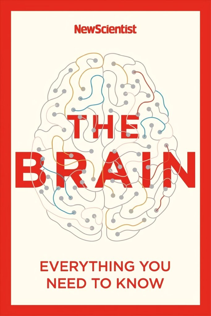 Brain: Everything You Need to Know kaina ir informacija | Ekonomikos knygos | pigu.lt
