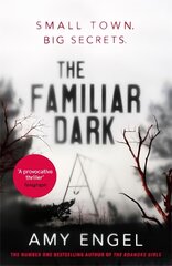 Familiar Dark: The must-read, utterly gripping thriller you won't be able to put down kaina ir informacija | Fantastinės, mistinės knygos | pigu.lt