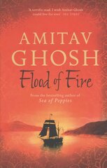 Flood of Fire: Ibis Trilogy Book 3 kaina ir informacija | Fantastinės, mistinės knygos | pigu.lt
