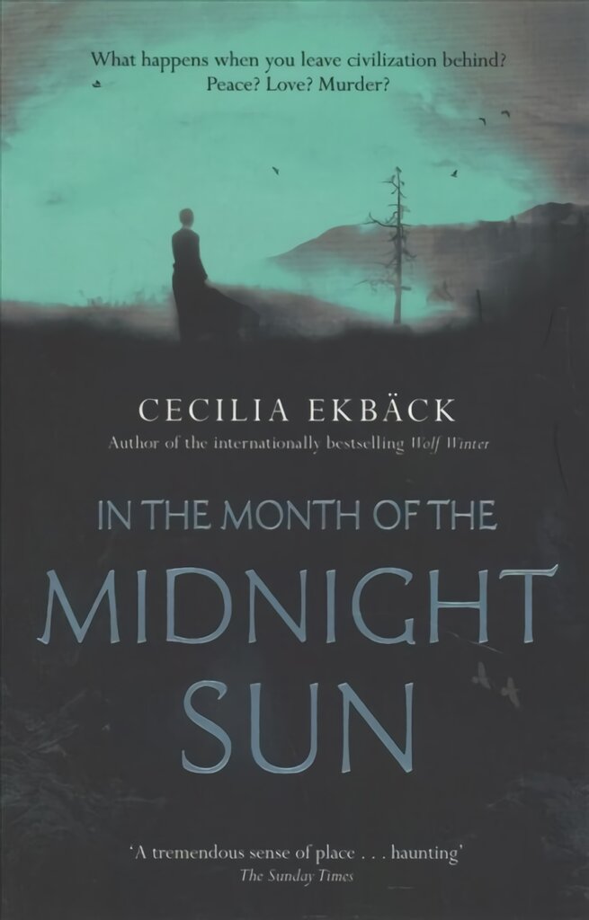 In the Month of the Midnight Sun цена и информация | Fantastinės, mistinės knygos | pigu.lt
