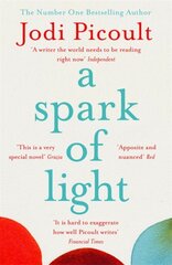 Spark of Light: The must-read, heart-stopping pick for summer 2022 цена и информация | Fantastinės, mistinės knygos | pigu.lt