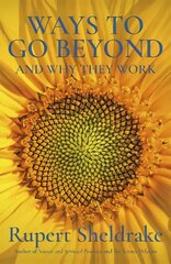 Ways to Go Beyond and Why They Work: Seven Spiritual Practices in a Scientific Age kaina ir informacija | Ekonomikos knygos | pigu.lt