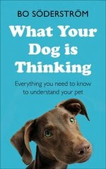 What Your Dog Is Thinking: Everything you need to know to understand your pet kaina ir informacija | Knygos apie sveiką gyvenseną ir mitybą | pigu.lt