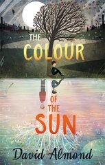 The Colour of the Sun kaina ir informacija | Knygos paaugliams ir jaunimui | pigu.lt