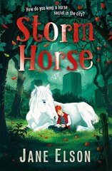 Storm Horse цена и информация | Книги для подростков  | pigu.lt