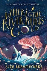 Where the River Runs Gold цена и информация | Книги для подростков и молодежи | pigu.lt