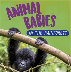 Animal Babies: In the Rainforest цена и информация | Книги для подростков и молодежи | pigu.lt