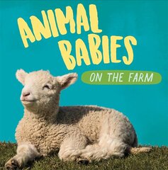 Animal Babies: On the Farm цена и информация | Книги для подростков и молодежи | pigu.lt