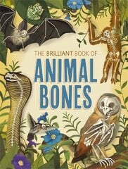 Brilliant Book of Animal Bones kaina ir informacija | Knygos paaugliams ir jaunimui | pigu.lt