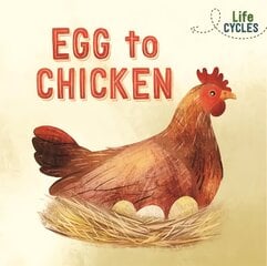Life Cycles: Egg to Chicken kaina ir informacija | Knygos paaugliams ir jaunimui | pigu.lt