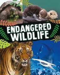 Endangered Wildlife цена и информация | Книги для подростков и молодежи | pigu.lt