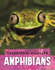 Endangered Wildlife: Rescuing Amphibians kaina ir informacija | Knygos paaugliams ir jaunimui | pigu.lt