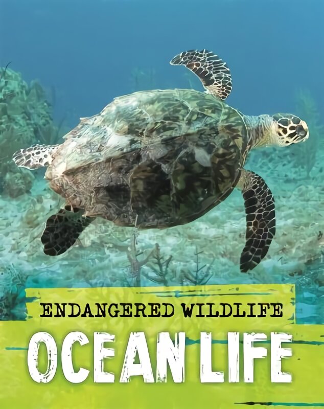 Endangered Wildlife: Rescuing Ocean Life цена и информация | Knygos paaugliams ir jaunimui | pigu.lt