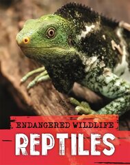 Endangered Wildlife: Rescuing Reptiles цена и информация | Книги для подростков  | pigu.lt