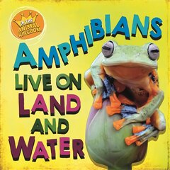 In the Animal Kingdom: Amphibians Live on Land and in Water Illustrated edition kaina ir informacija | Knygos paaugliams ir jaunimui | pigu.lt
