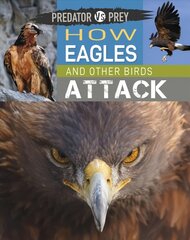 Predator vs Prey: How Eagles and other Birds Attack Illustrated edition kaina ir informacija | Knygos paaugliams ir jaunimui | pigu.lt