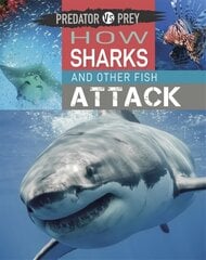 Predator vs Prey: How Sharks and other Fish Attack Illustrated edition kaina ir informacija | Knygos paaugliams ir jaunimui | pigu.lt