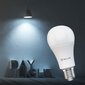 Tellur lemputė E27 9 w цена и информация | Elektros lemputės | pigu.lt