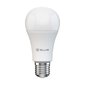Tellur lemputė E27 9w kaina ir informacija | Elektros lemputės | pigu.lt