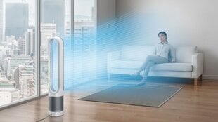 Воздушный вентилятор Dyson Pure Cool TP00 цена и информация | Вентиляторы | pigu.lt