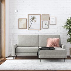 Sofa CosmoLiving by Cosmopolitan Francis, pilka kaina ir informacija | Sofos | pigu.lt