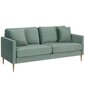 Sofa CosmoLiving by Cosmopolitan Highland, žalia kaina ir informacija | Sofos | pigu.lt