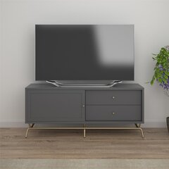 ТВ столик Dorel Home Madison, серый цена и информация |  Тумбы под телевизор | pigu.lt