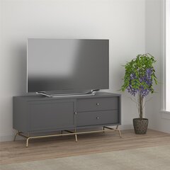ТВ столик Dorel Home Madison, серый цена и информация | Тумбы под телевизор | pigu.lt