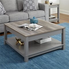 Кофейный столик Dorel Home Carver, серый цвет цена и информация | Журнальные столики | pigu.lt
